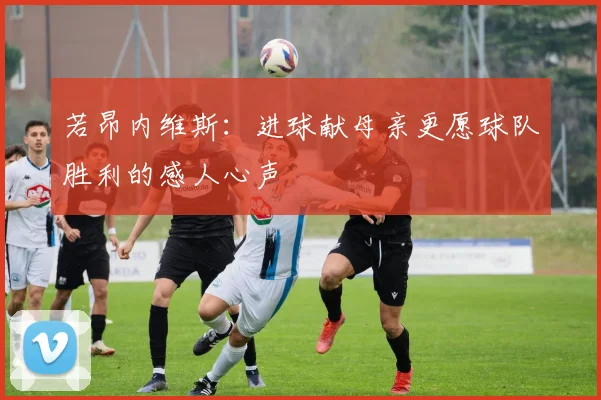 若昂内维斯：进球献母亲更愿球队胜利的感人心声